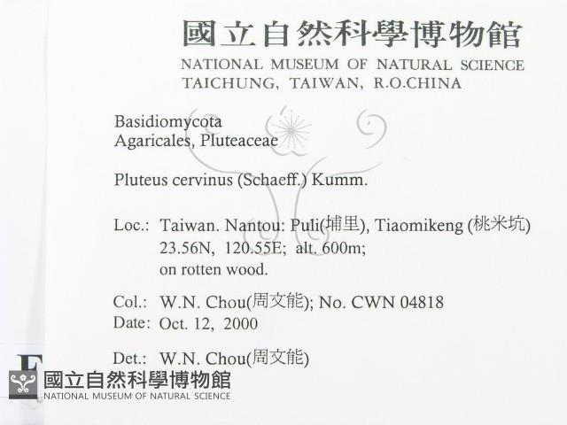 登錄號:F0014448藏品圖，第2張