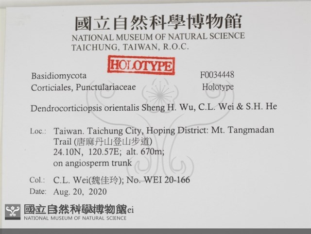 登錄號:F0034448藏品圖，第2張