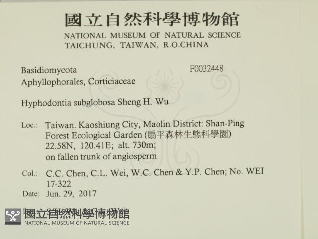 登錄號:F0032448藏品圖，第2張