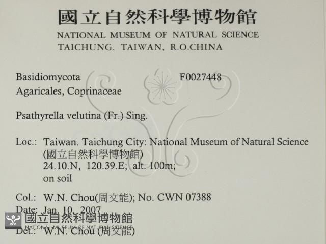 登錄號:F0027448藏品圖，第2張