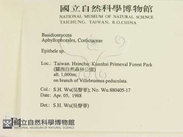 登錄號:F0015448藏品圖，第2張