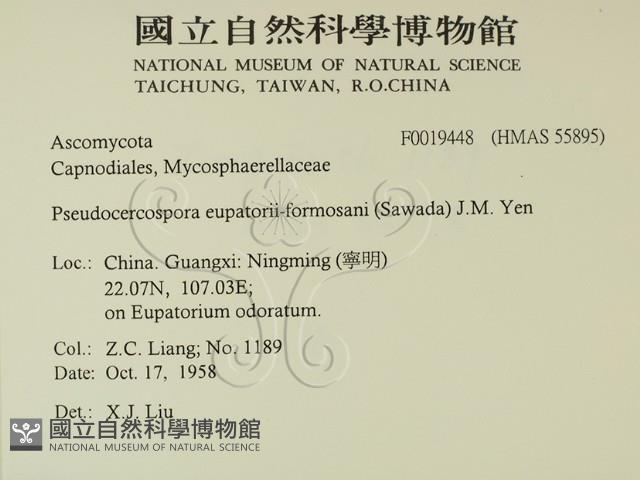 登錄號:F0019448藏品圖，第2張