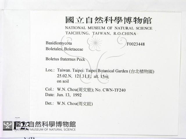 登錄號:F0023448藏品圖，第2張