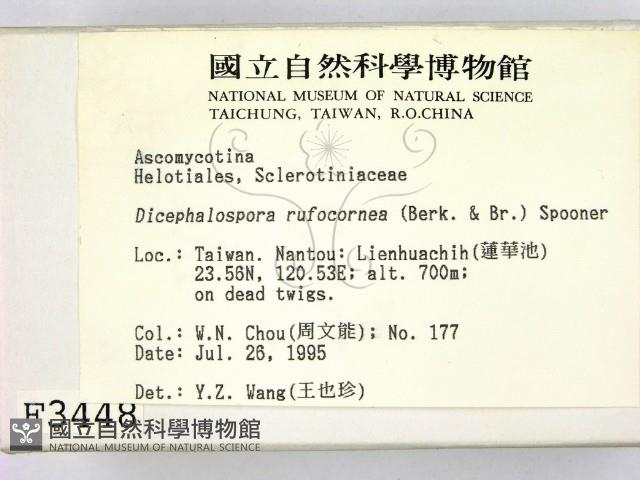 登錄號:F0003448藏品圖，第2張