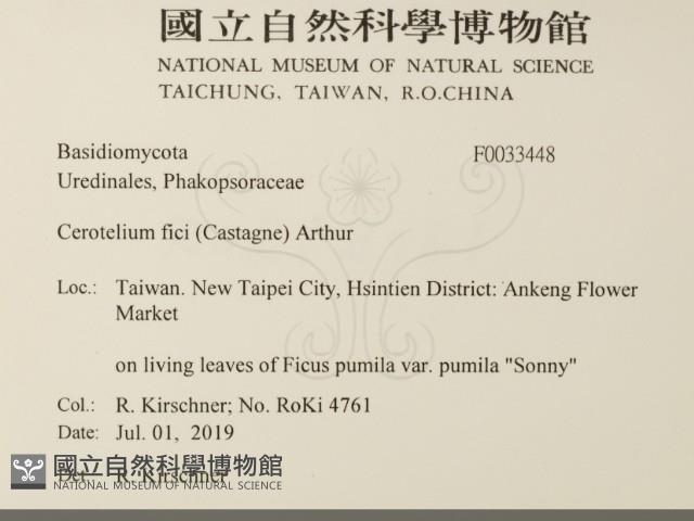 登錄號:F0033448藏品圖，第2張