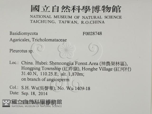 登錄號:F0028748藏品圖，第2張