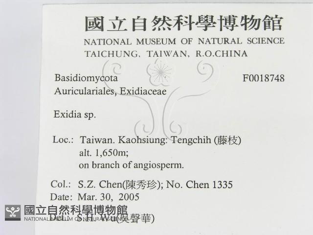 登錄號:F0018748藏品圖，第2張