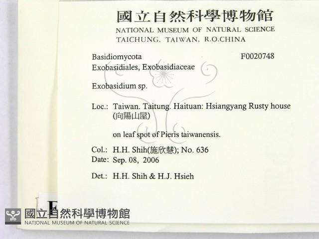登錄號:F0020748藏品圖，第2張