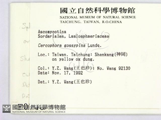 登錄號:F0000748藏品圖，第2張