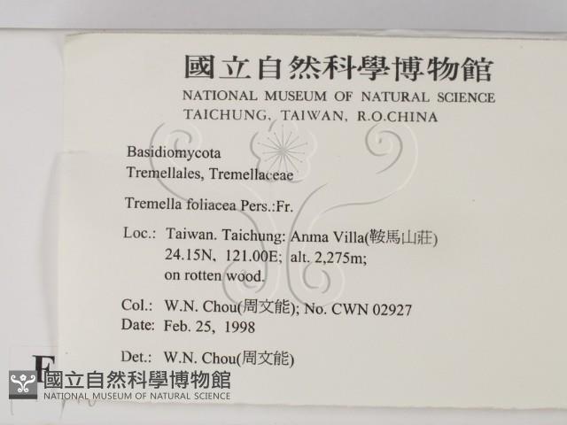 登錄號:F0010748藏品圖，第2張