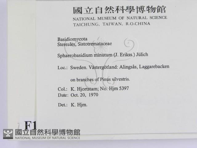 登錄號:F0016748藏品圖，第2張