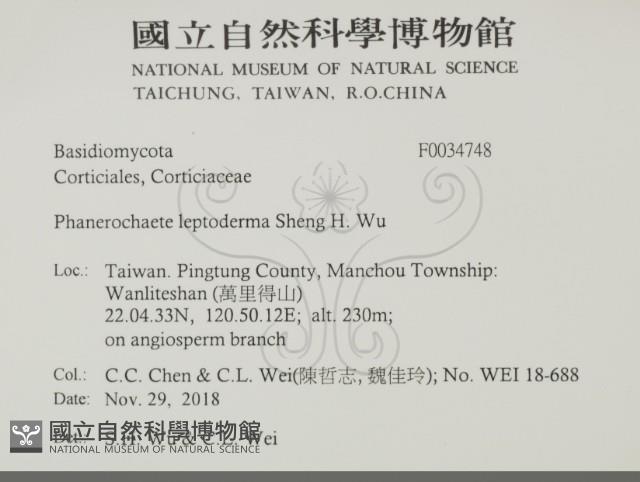 登錄號:F0034748藏品圖，第2張