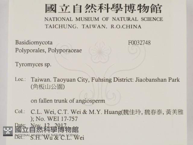 登錄號:F0032748藏品圖，第2張