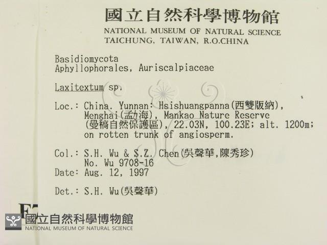 登錄號:F0007748藏品圖，第2張