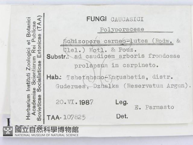 登錄號:F0015748藏品圖，第2張