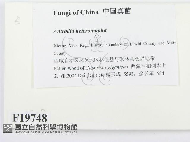 登錄號:F0019748藏品圖，第2張