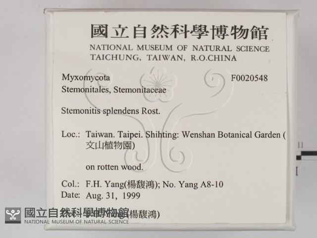 登錄號:F0020548藏品圖，第2張