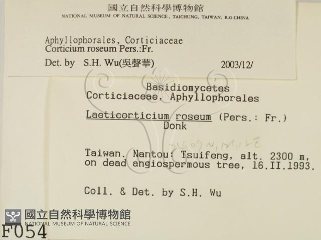 登錄號:F0000548藏品圖，第2張