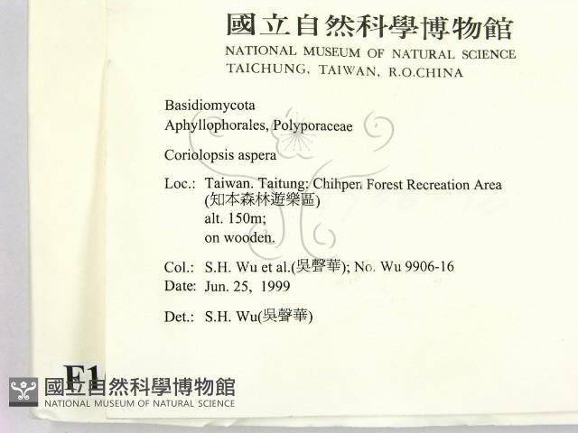 登錄號:F0010548藏品圖，第2張