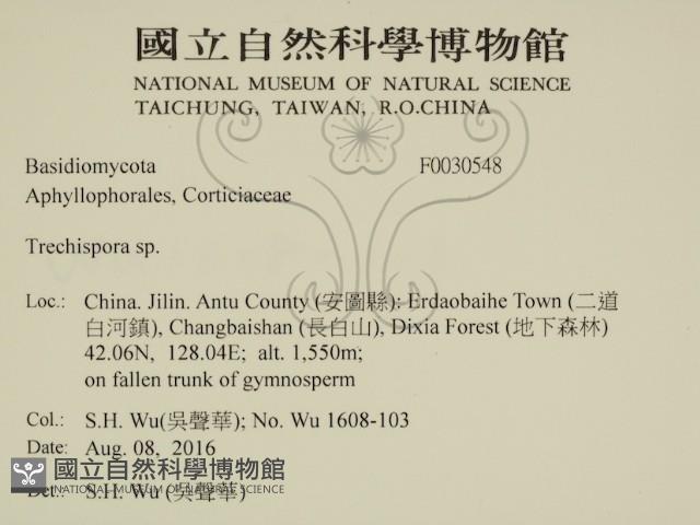 登錄號:F0030548藏品圖，第2張