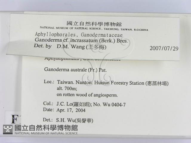 登錄號:F0016548藏品圖，第2張