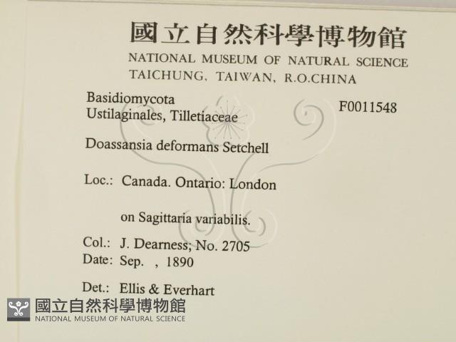 登錄號:F0011548藏品圖，第2張