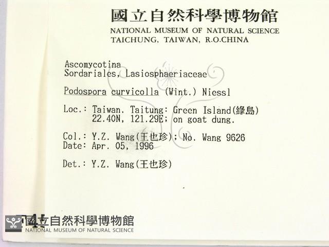 登錄號:F0004548藏品圖，第2張