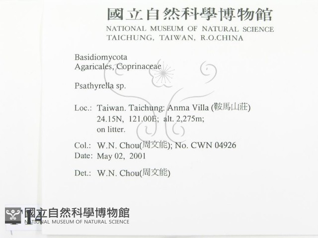登錄號:F0014548藏品圖，第2張