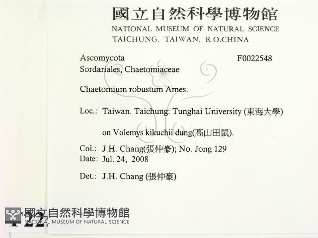 登錄號:F0022548藏品圖，第2張