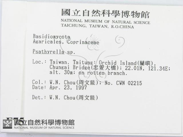 登錄號:F0007548藏品圖，第2張