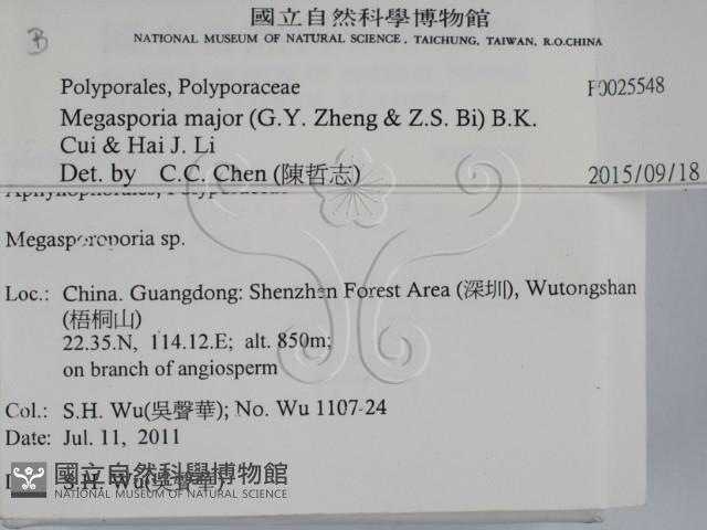 登錄號:F0025548藏品圖，第2張