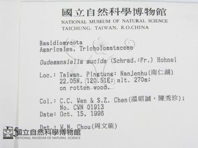 登錄號:F0005548藏品圖，第2張