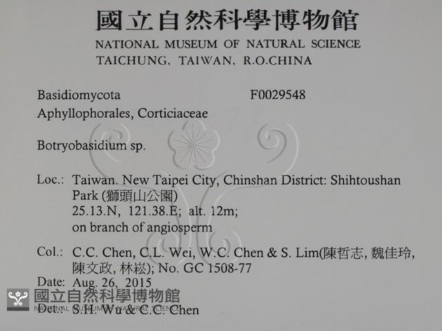 登錄號:F0029548藏品圖，第2張