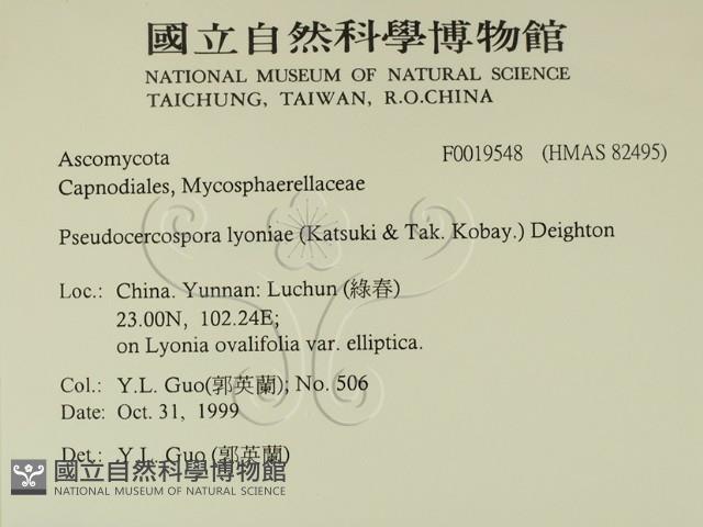 登錄號:F0019548藏品圖，第2張