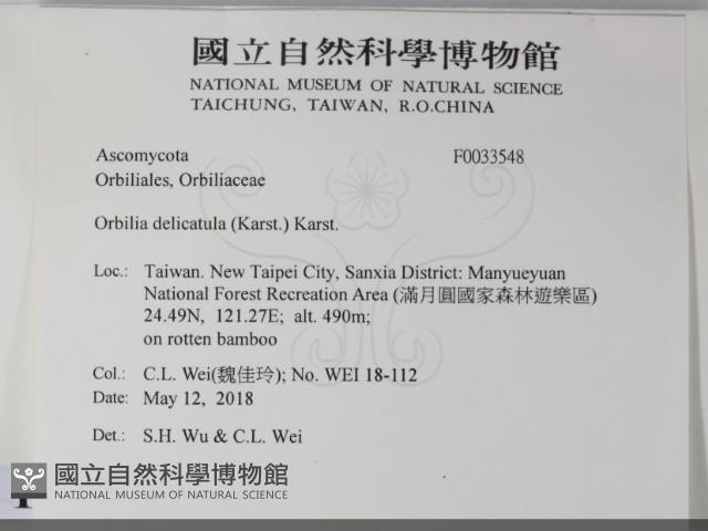 登錄號:F0033548藏品圖，第2張