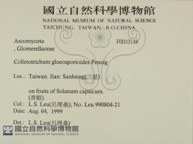 登錄號:F0010148藏品圖，第2張