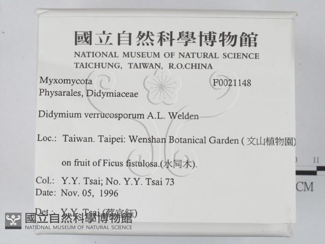 登錄號:F0021148藏品圖，第2張
