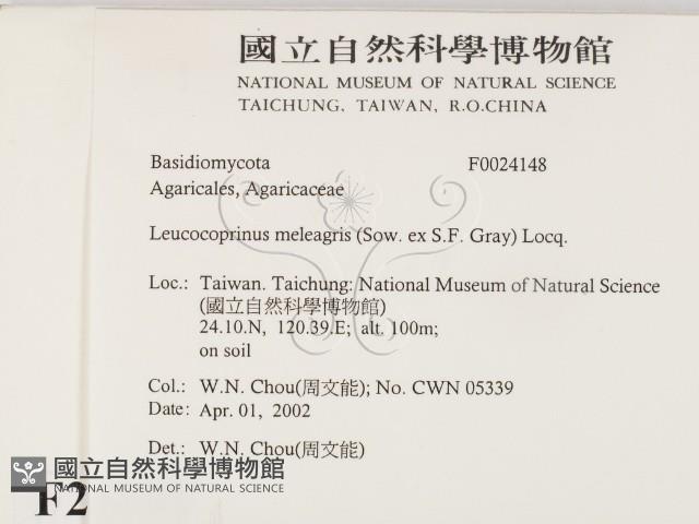 登錄號:F0024148藏品圖，第2張