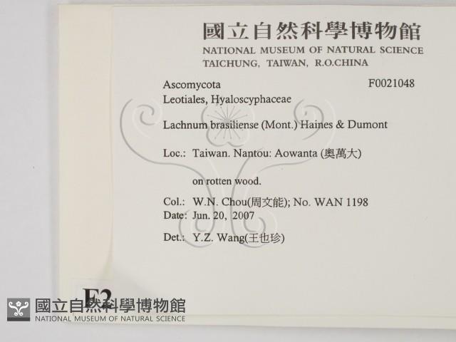 登錄號:F0021048藏品圖，第2張