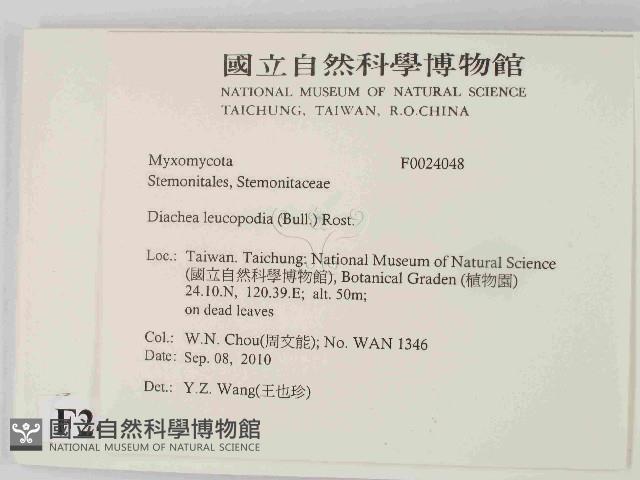 登錄號:F0024048藏品圖，第2張