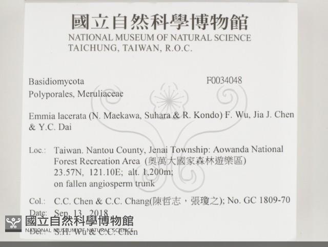 登錄號:F0034048藏品圖，第2張