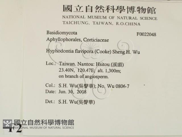 登錄號:F0022048藏品圖，第2張