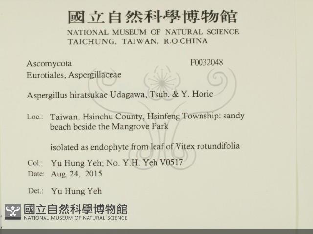 登錄號:F0032048藏品圖，第2張