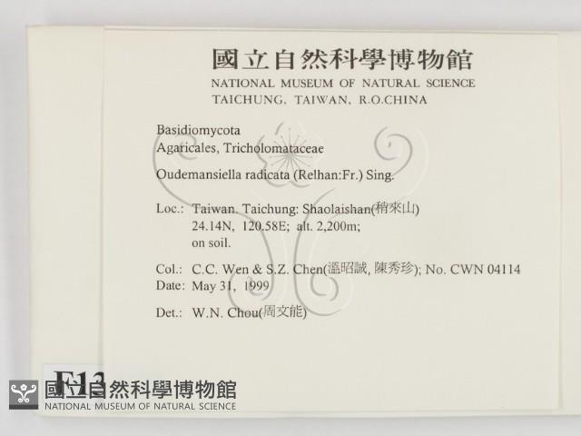 登錄號:F0013048藏品圖，第2張