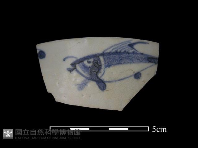 瓷片藏品圖，第1張