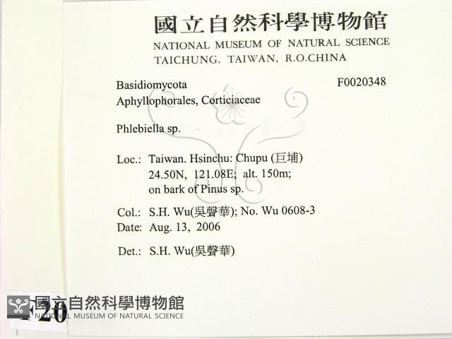 登錄號:F0020348藏品圖，第2張