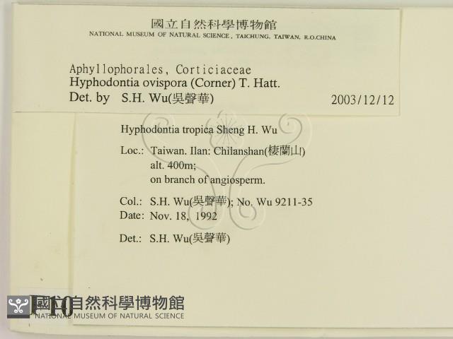 登錄號:F0010348藏品圖，第2張