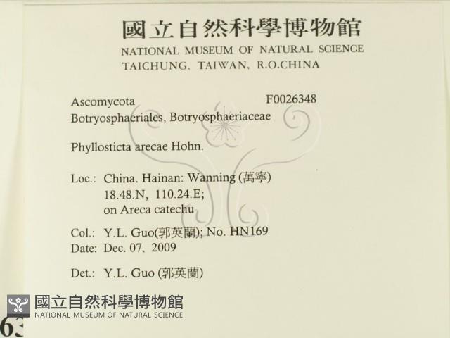 登錄號:F0026348藏品圖，第2張