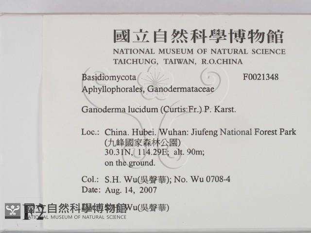 登錄號:F0021348藏品圖，第2張