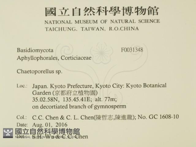 登錄號:F0031348藏品圖，第2張